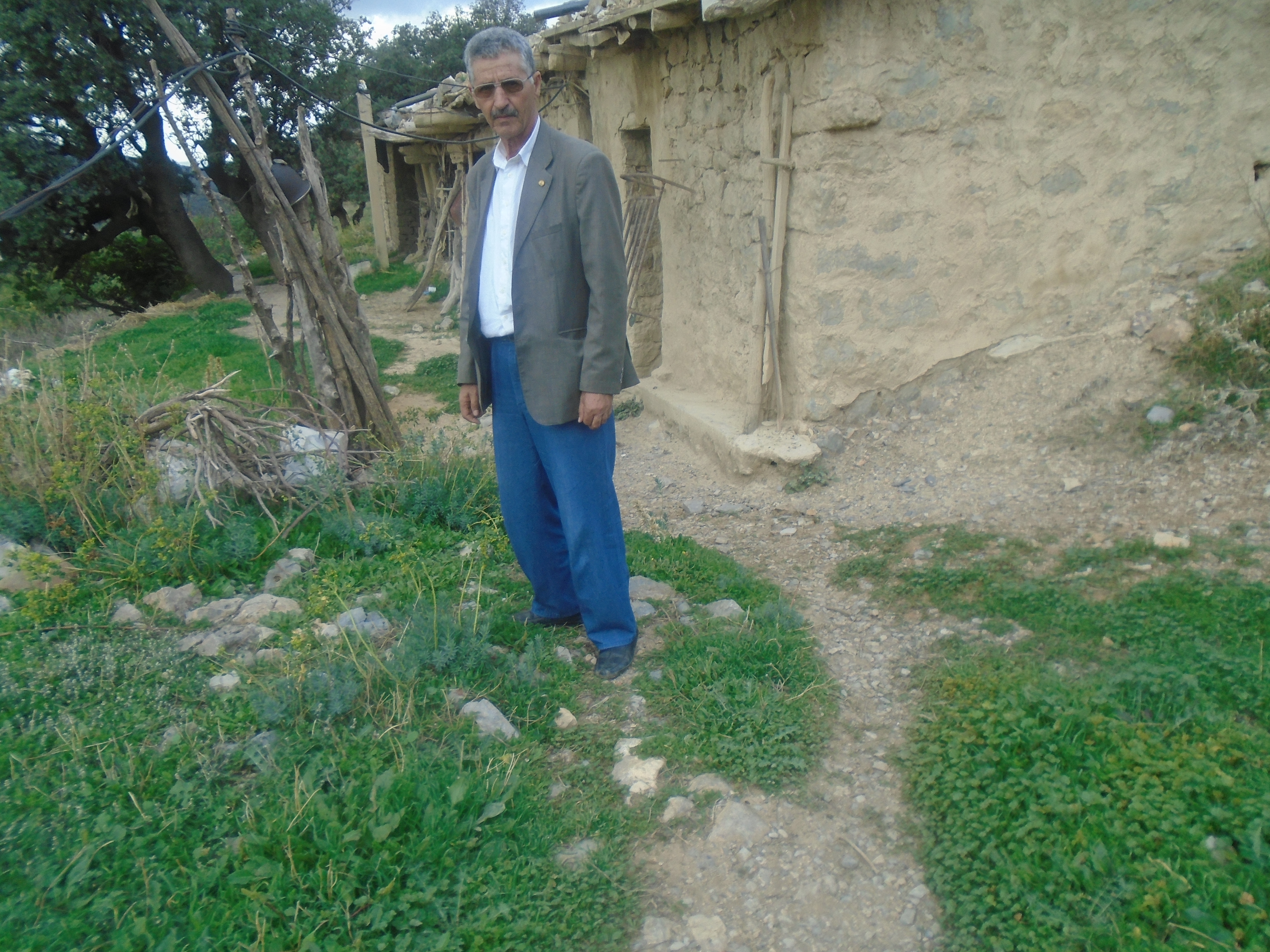 Une production record de la pomme à Yabous ...Khenchela...