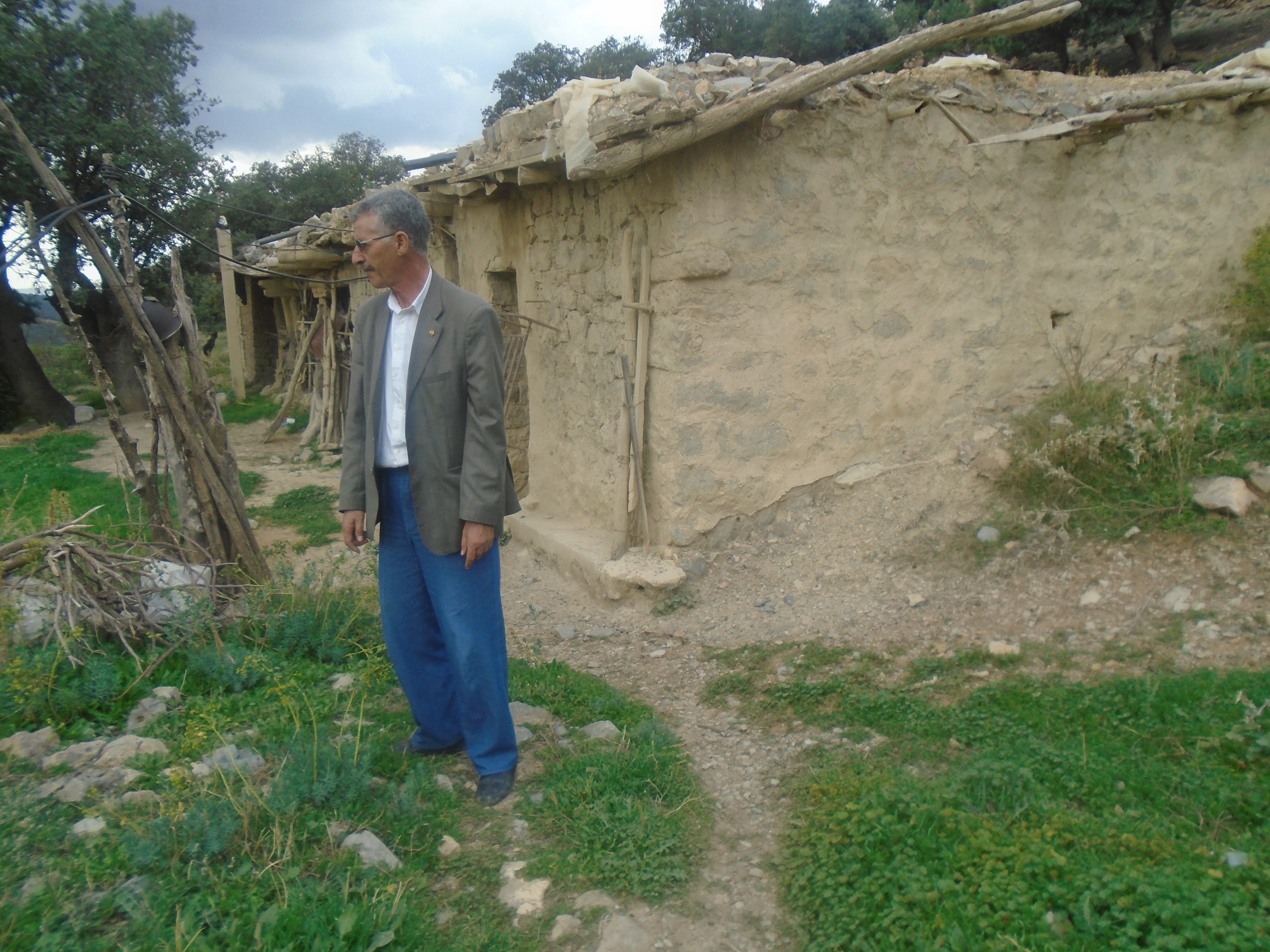 Une production record de la pomme à Yabous ...Khenchela...