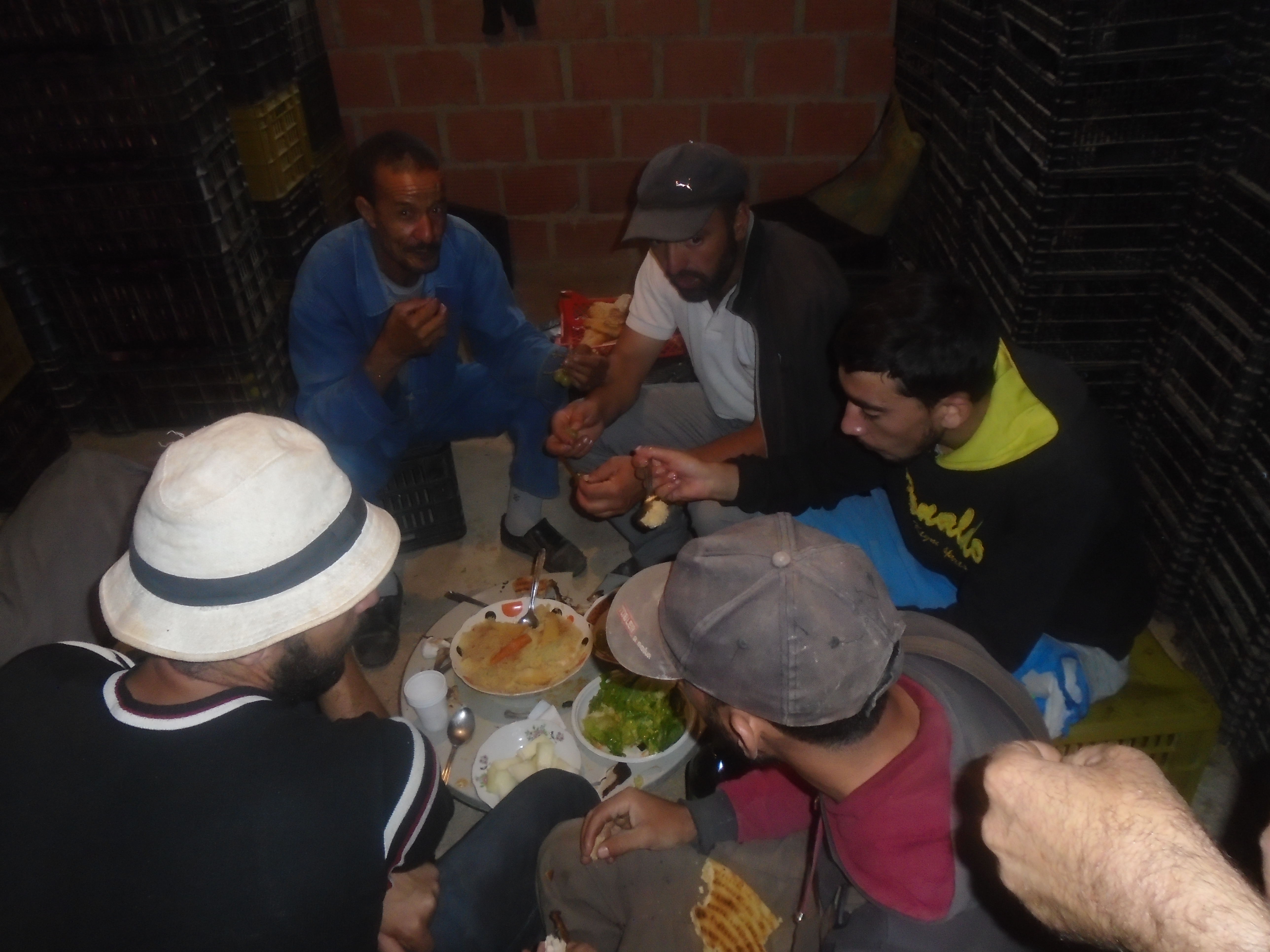 Une production record de la pomme à Yabous ...Khenchela...