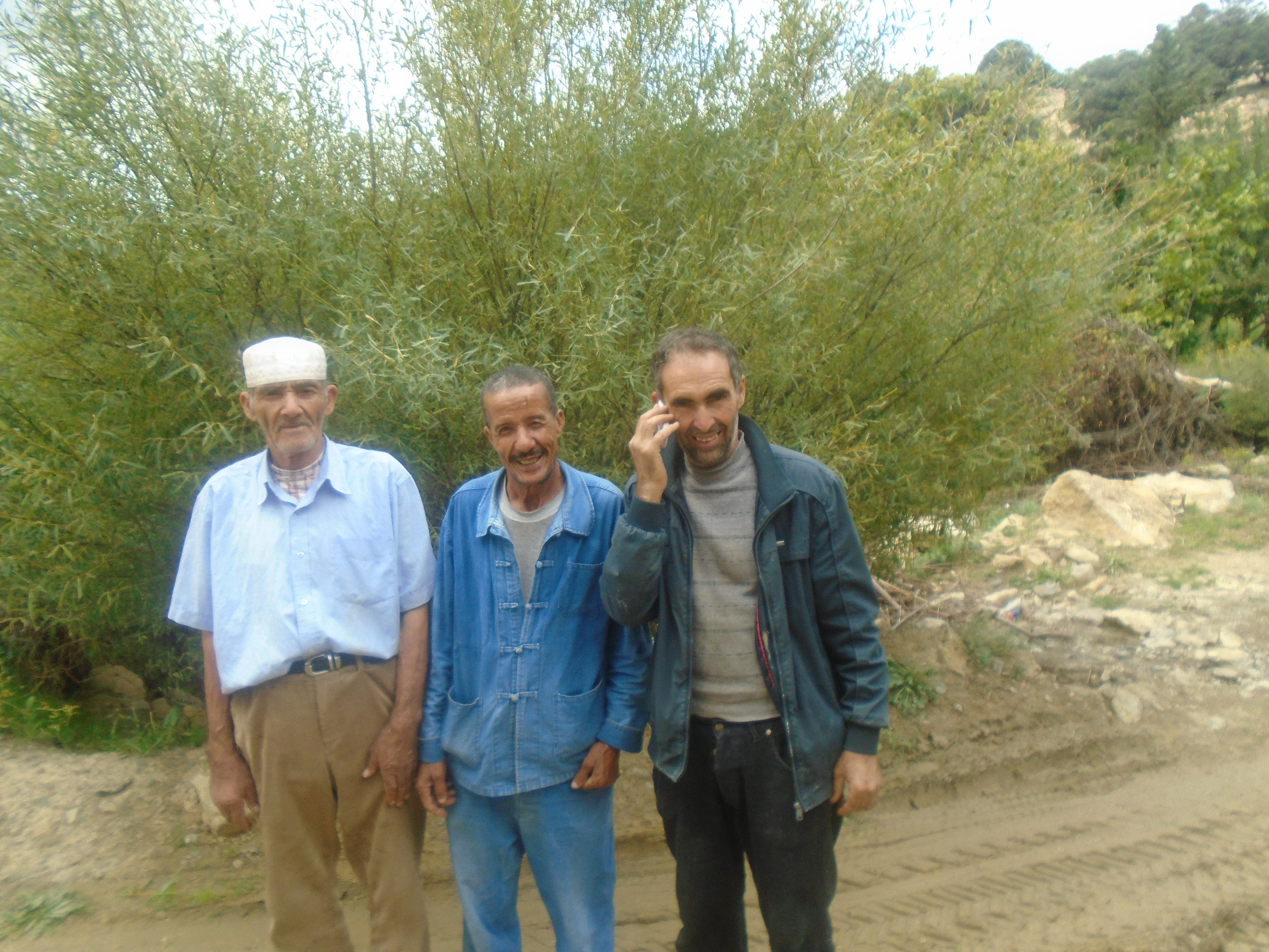 Une production record de la pomme à Yabous ...Khenchela...