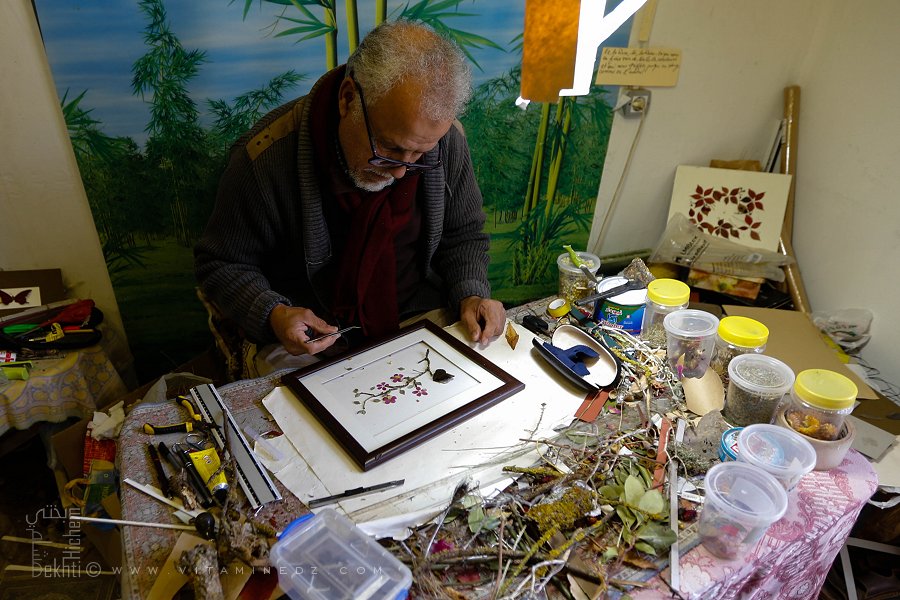 Sid Ahmed Boubeker, Herboriste à Tlemcen