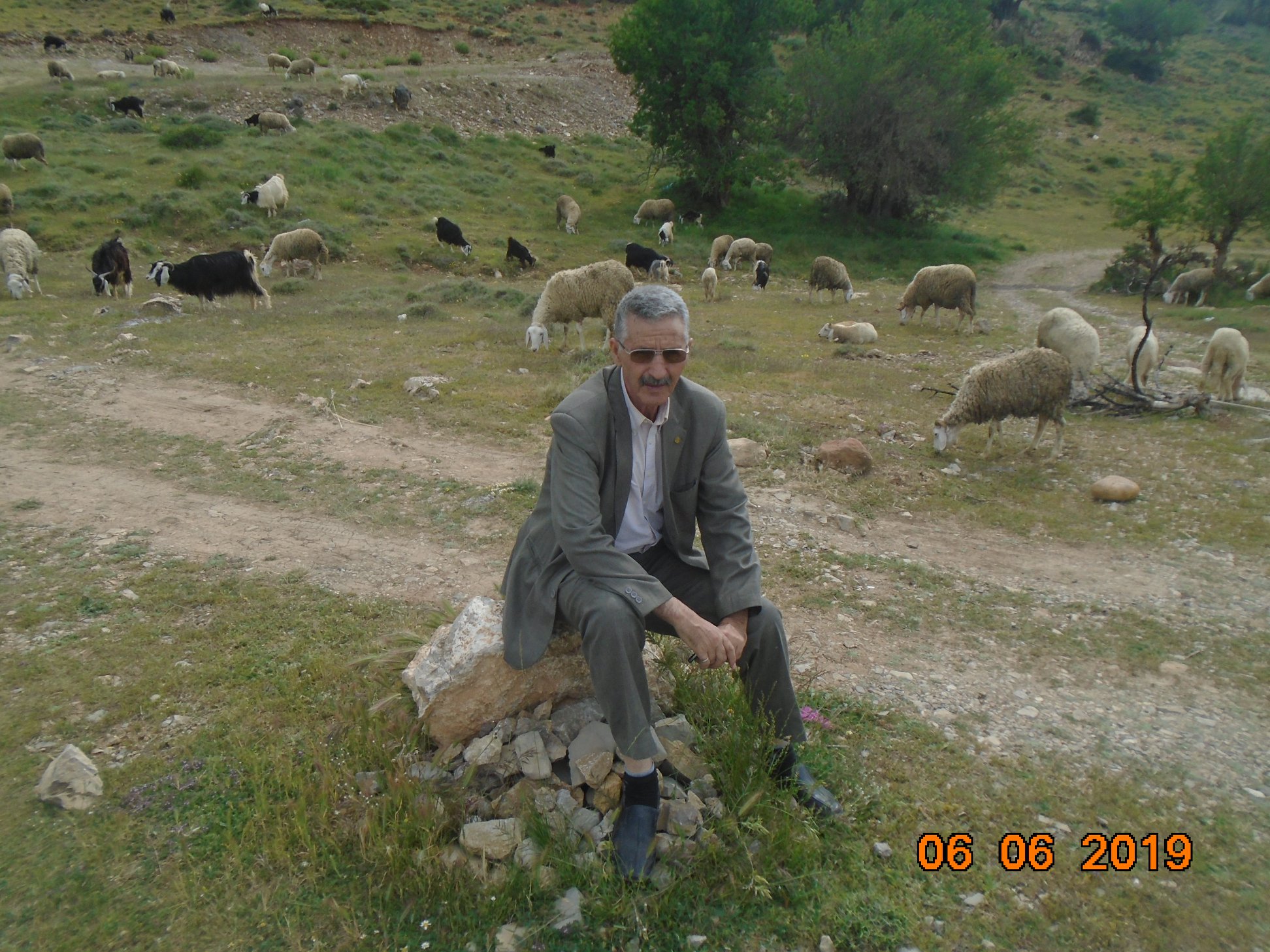 رعي الاغنام فوق الجبال رحلة اشبه بالخيال.