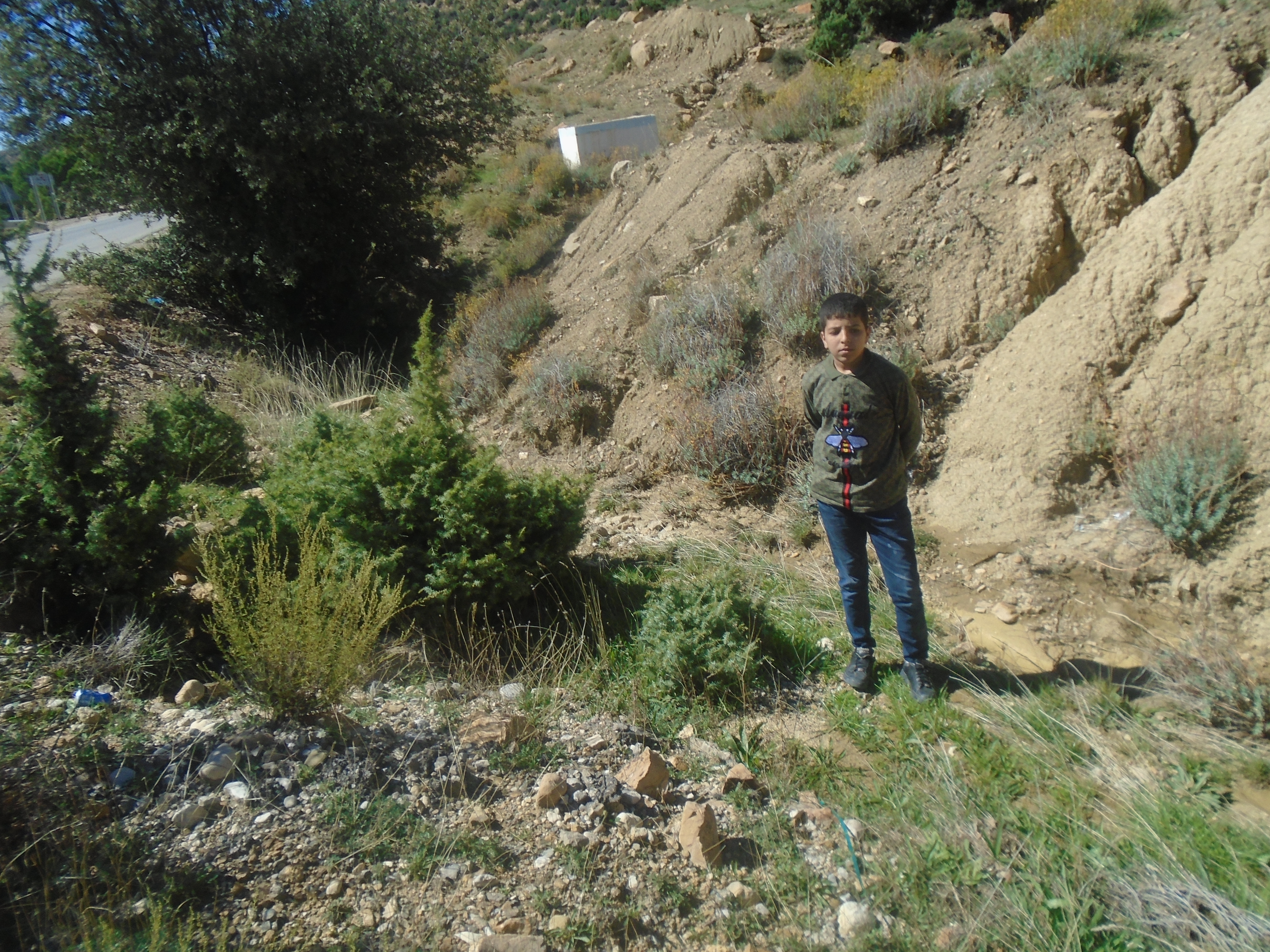 السياحة الجبلية والبيىة في بلدية يابوس