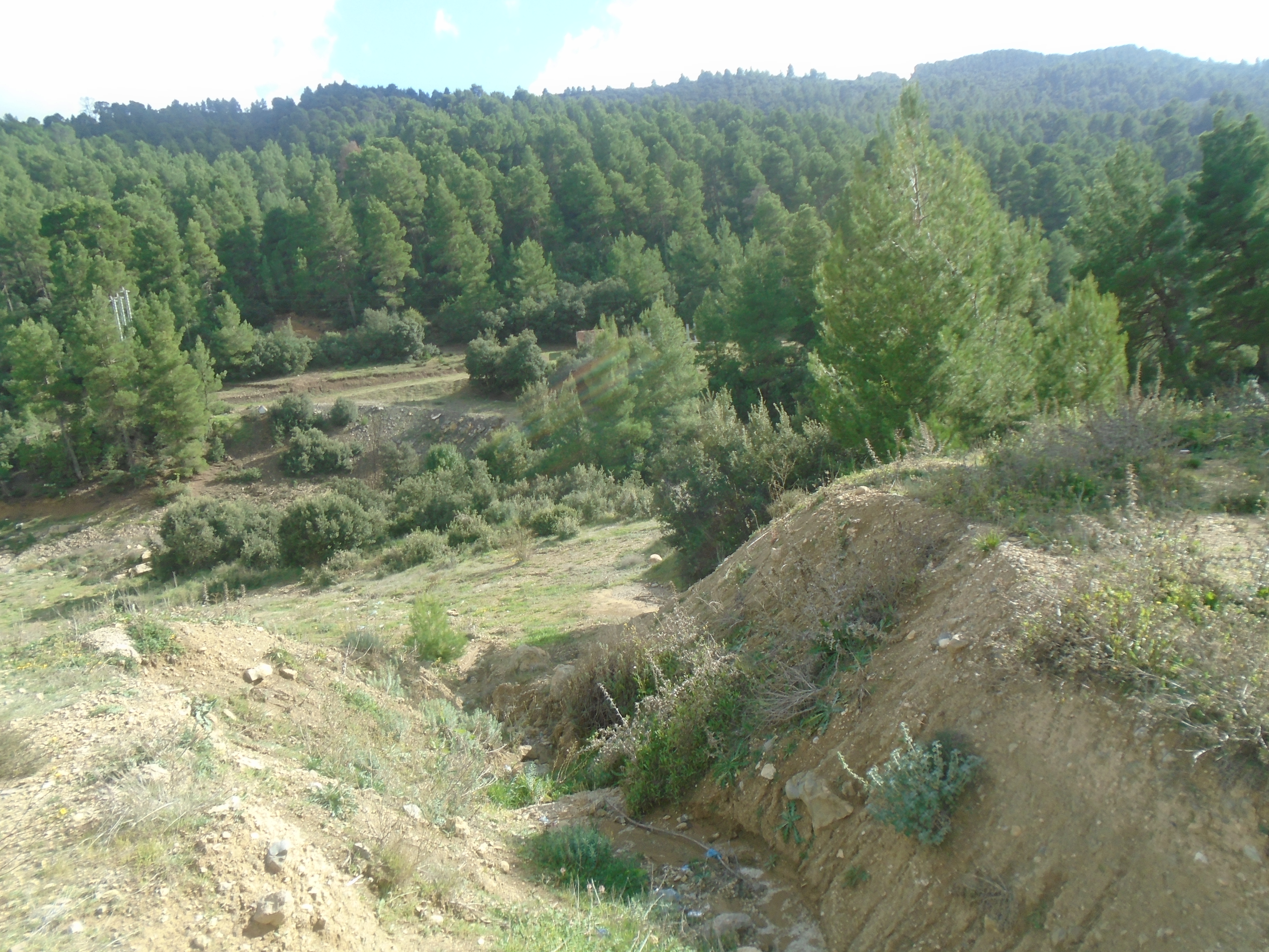 السياحة الجبلية والبيىة في بلدية يابوس