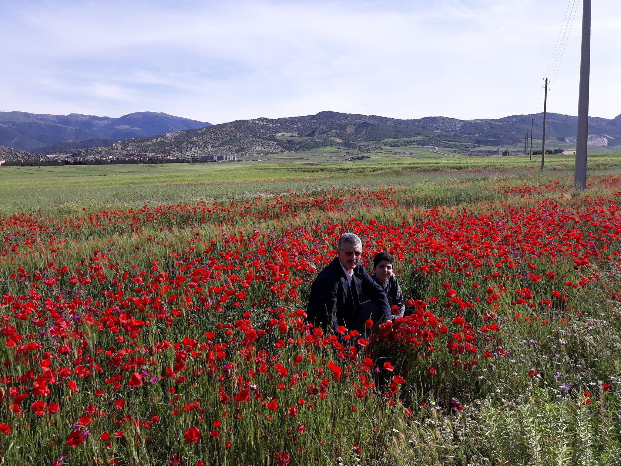 ويعود الربيع وتعود الحياة للطبية.