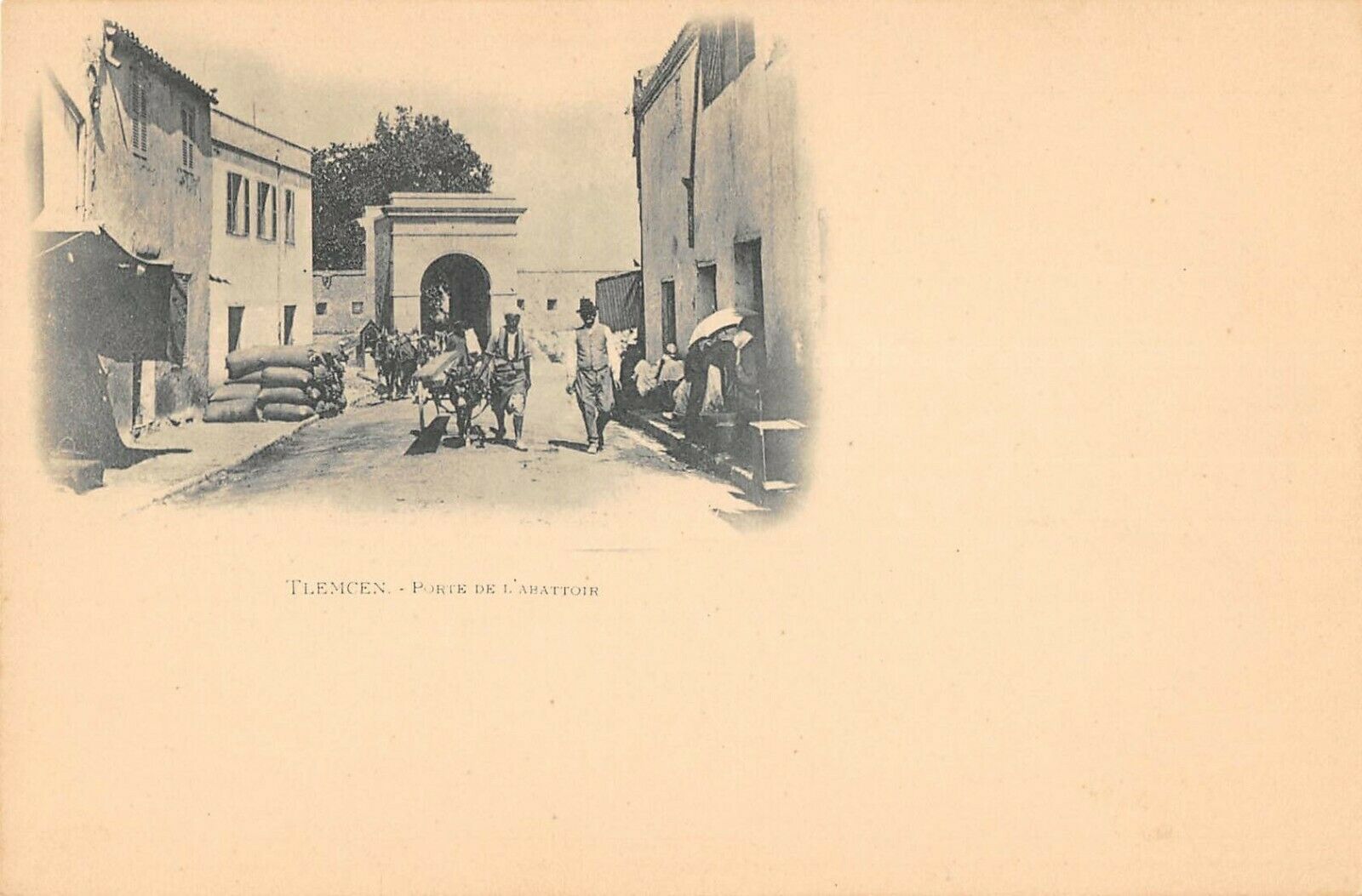 TLEMCEN LA PORTE DE L'ABATTOIR