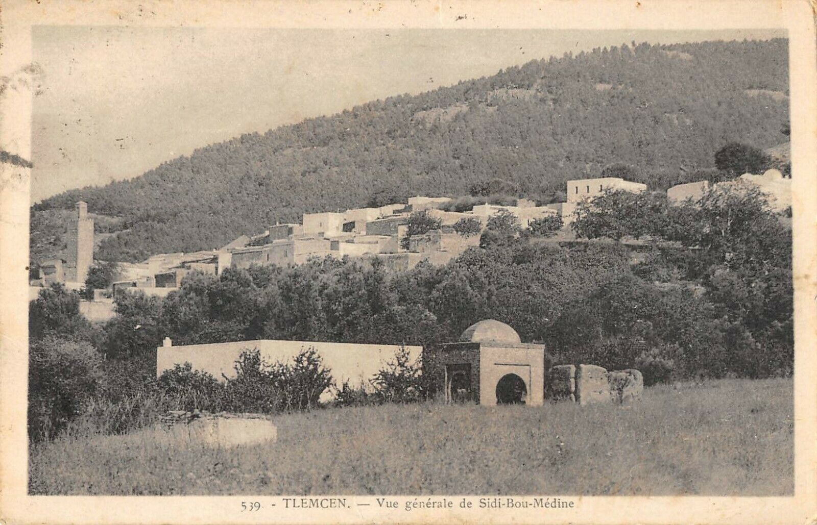 TLEMCEN VUE GENERALE DE SIDI BOU MEDINE