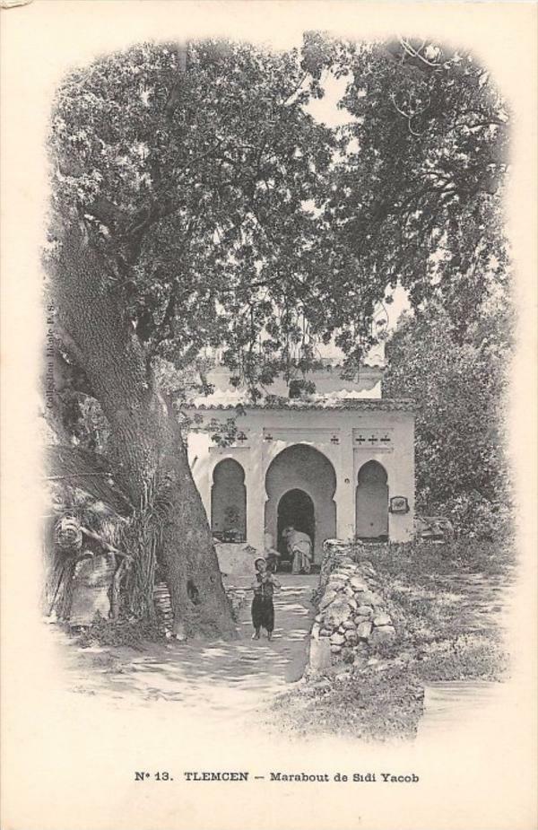 TLEMCEN MARABOUT DE SIDI YACOB