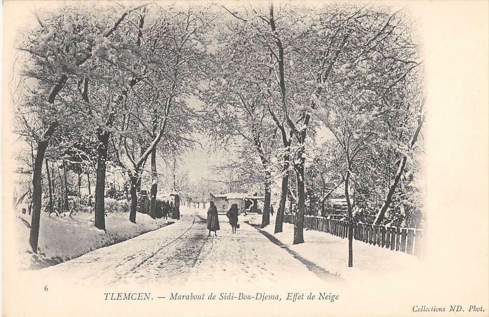 TLEMCEN MARABOUT DE SIDI BOU DJEMA EFFET DE NEIGE