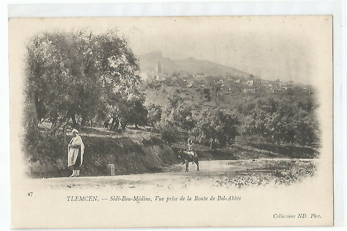 TLEMCEN , SIDI-BOU-MEDINE , VUE PRISE DE LA ROUTE DE BEL-ABES