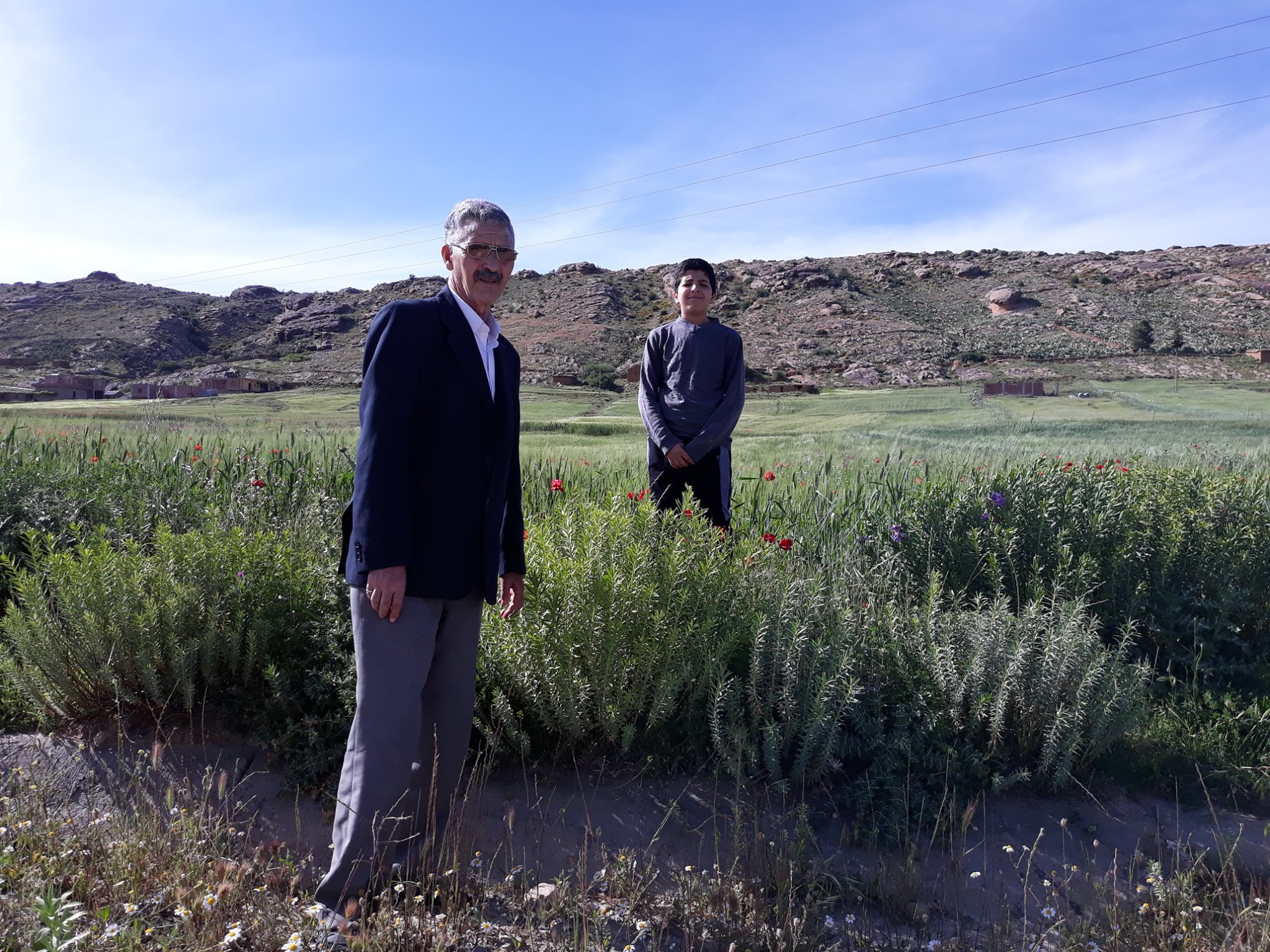 Les joies du printemps et de son soleil