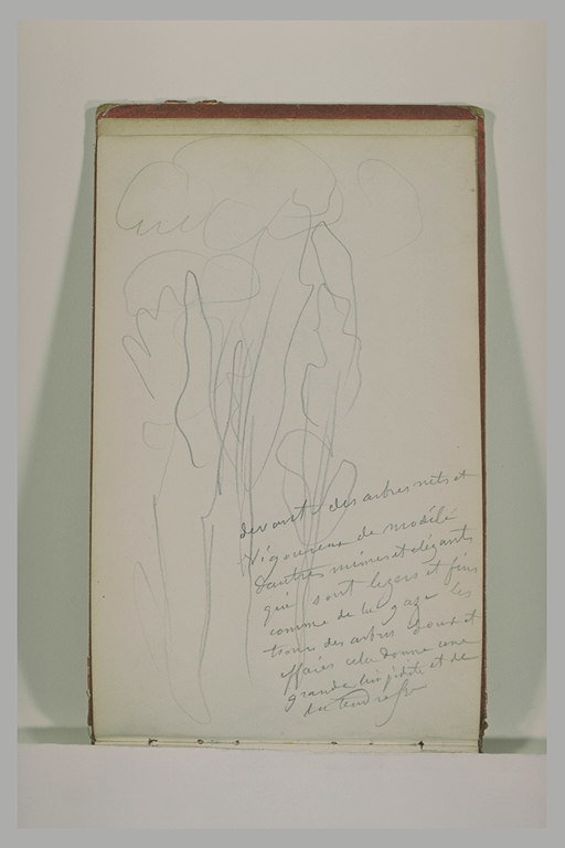 Groupe d'arbres, et annotations