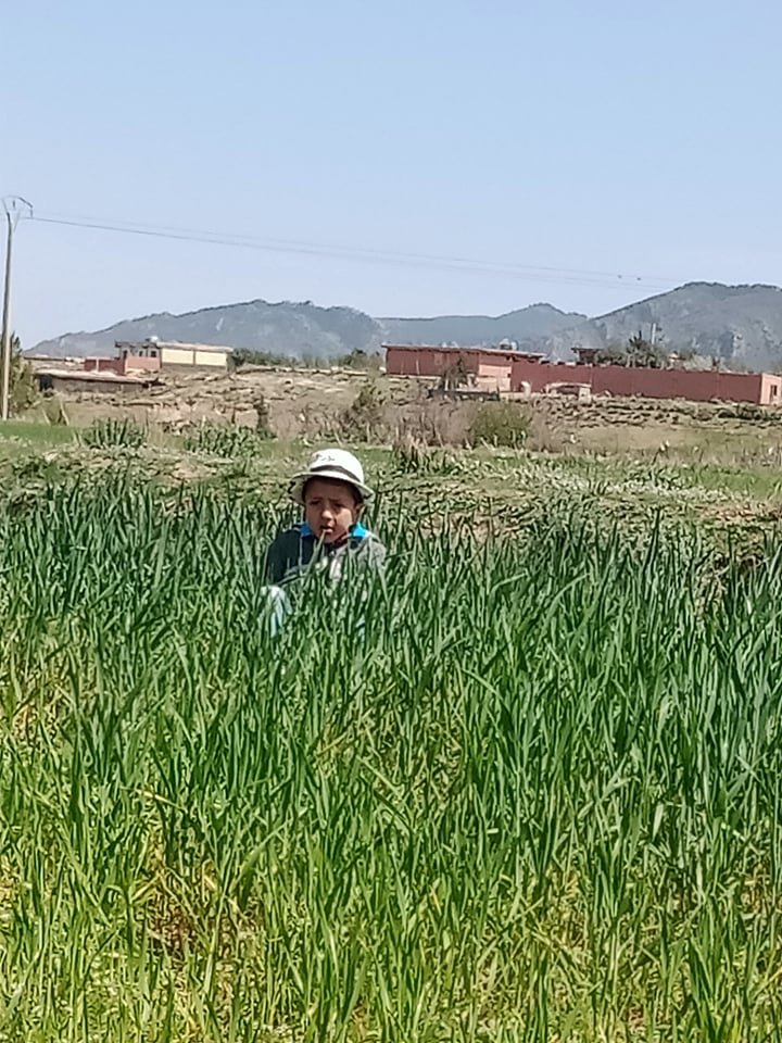 ذكريات الطفولة.