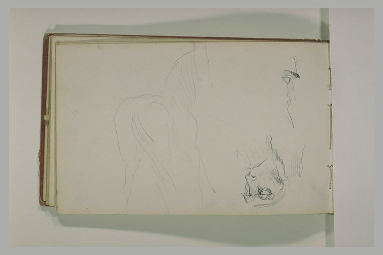 Un cheval vu de dos et deux têtes d'arabes