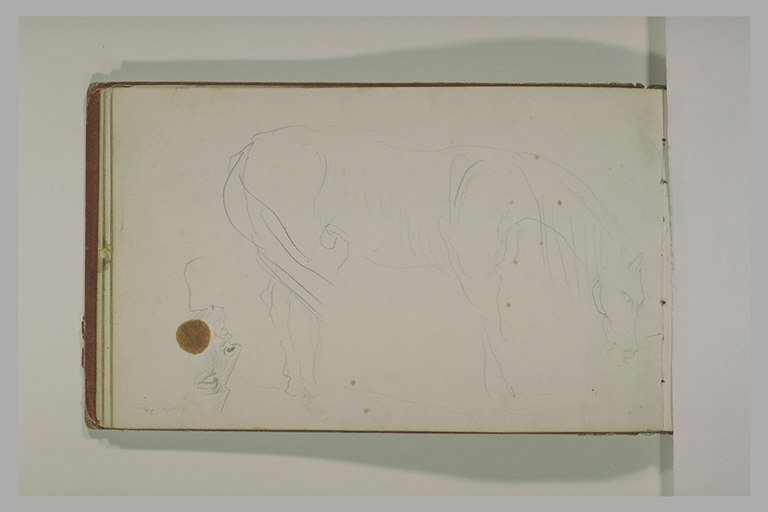 Etudes d'une tête d'arabe et d'un cheval