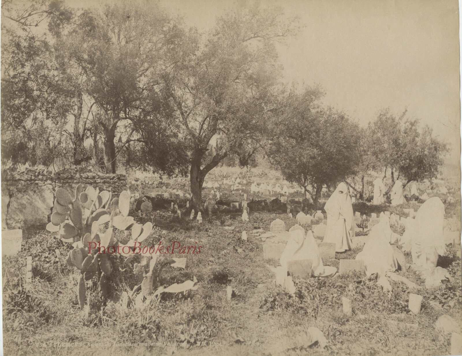 Tlemcen, photo ancienne du Cimetière 1880