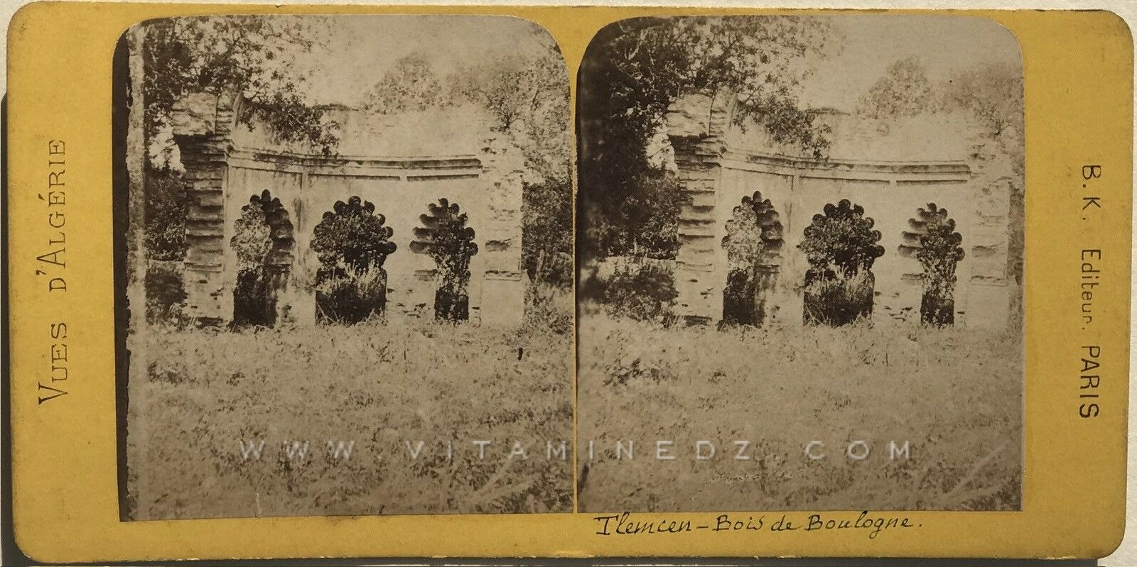 Tlemcen, photo ancienne du Bois de Boulogne