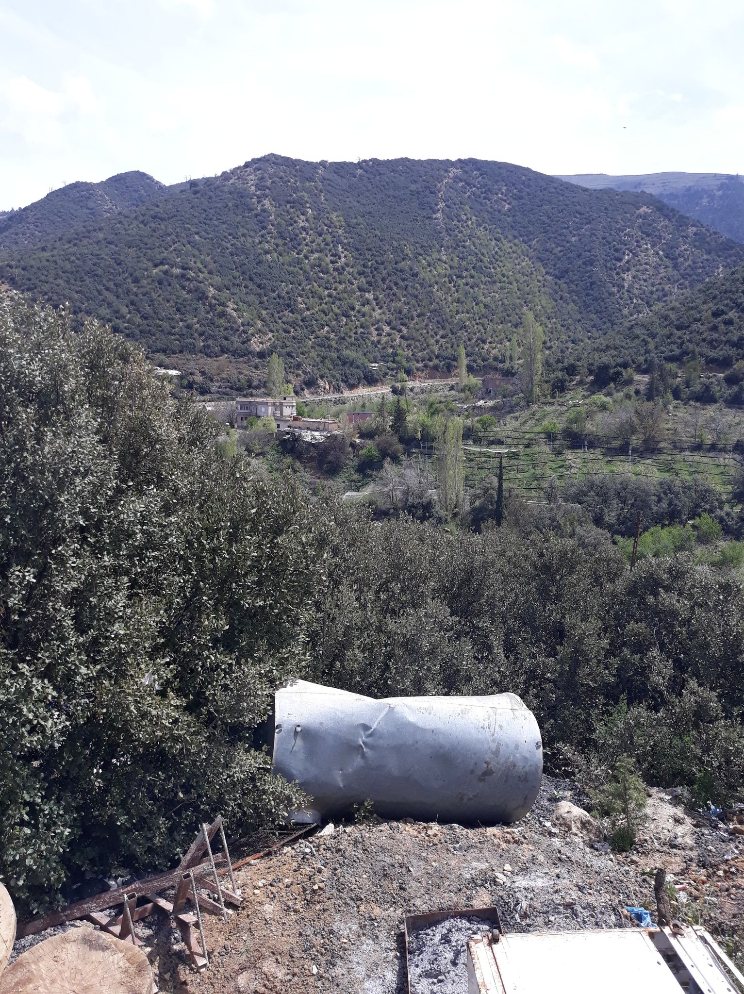 الكانطينة في فصل الربيع انها عروس جبل شليا.