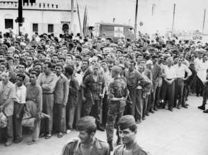 Guerre d'Algérie : les images de la guerre 12/26