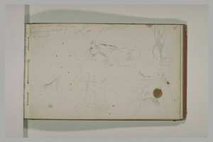 Etudes d'arabes et de mulets