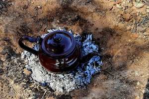 Le thé saharien gagne les papilles de tous les algériens