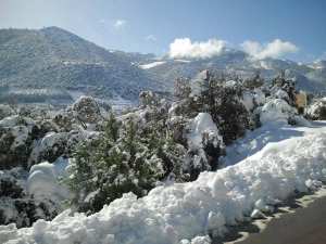 Profiter de la saison des neiges à Chélia