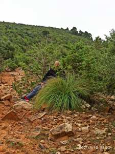 في احضان الطبيعة النقية اولاد يعقوب ولاية خنشلة.