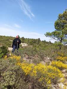 العودة الى احضان الطبيعة مع الاستاذ الفاضل رمضان حراث.غابة اولاد يقوب بولاية خنشلة.