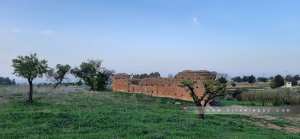 Ce qui reste d'un bout du Mur (Enceinte) zianide qui entourait Tlemcen