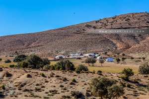 Arabe bédouins des Hmiyanes près de Sebdou