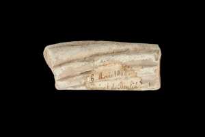 Fragment de décoration