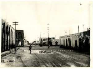 PHOTO RARE : Tlemcen, 1950