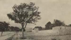 Hors les murs de Tebessa