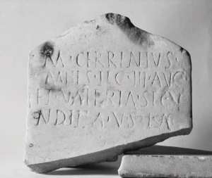 Stèle ; inscription