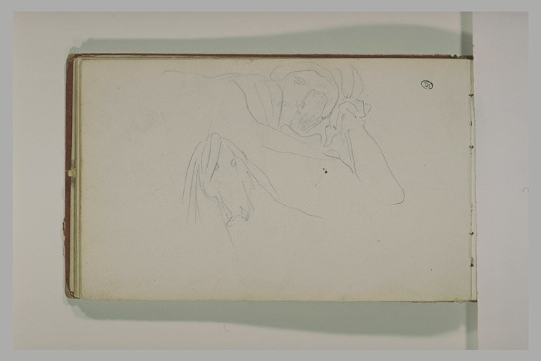 Etudes d'un cheval et d'un arabe allongé