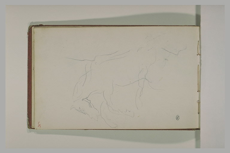 Croquis d'un cheval abattu