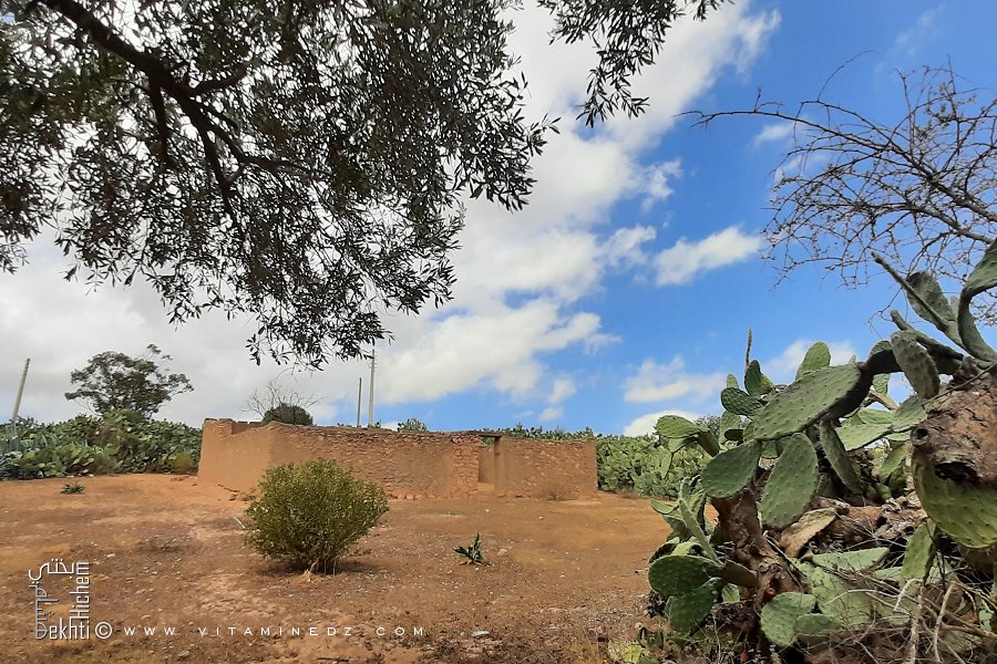 Petite maison de Telayla Douar Abandonné des beni Ouarsous