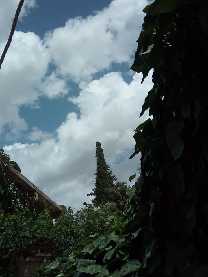 ساعتان بين أحضان الطبيعة أسبوعيا لحياة أكثر سعادة