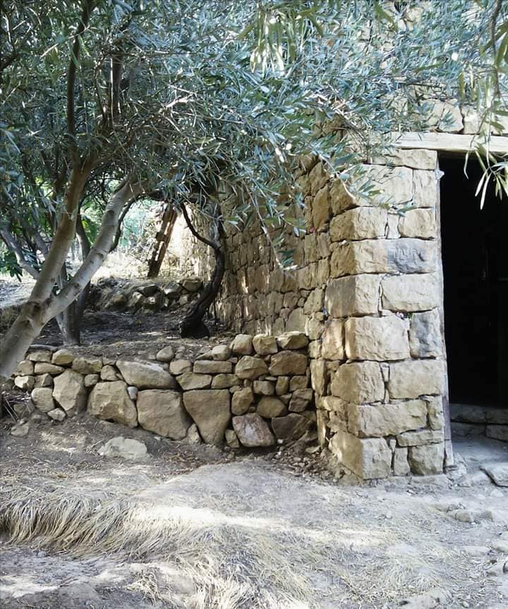 ساعتان بين أحضان الطبيعة أسبوعيا لحياة أكثر سعادة