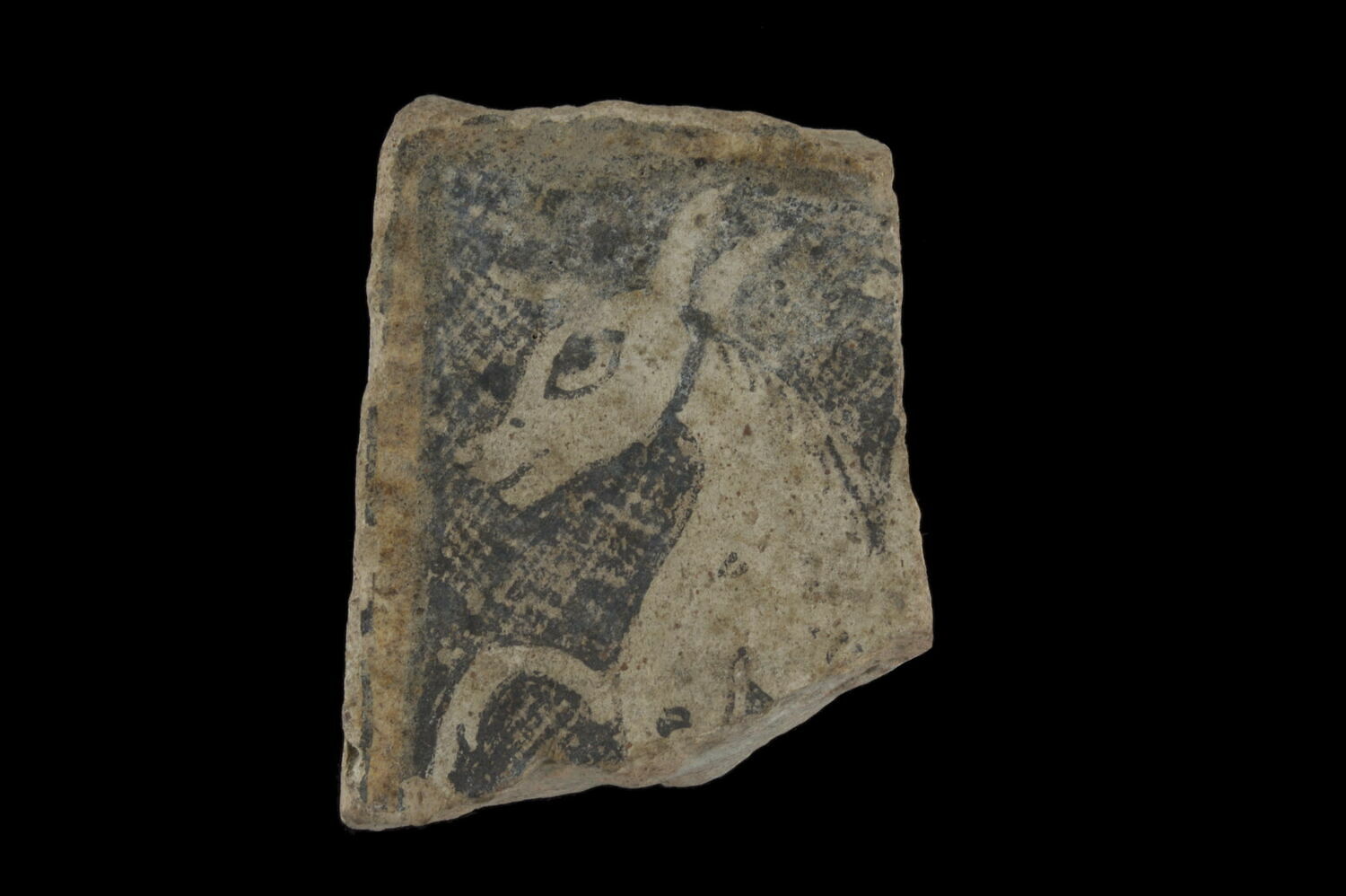 Fragment de carreau de revêtement à l'âne