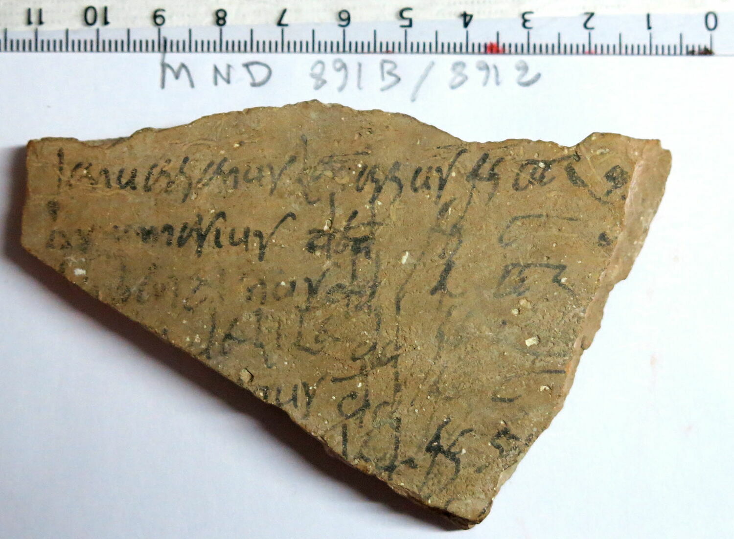 Ostracon