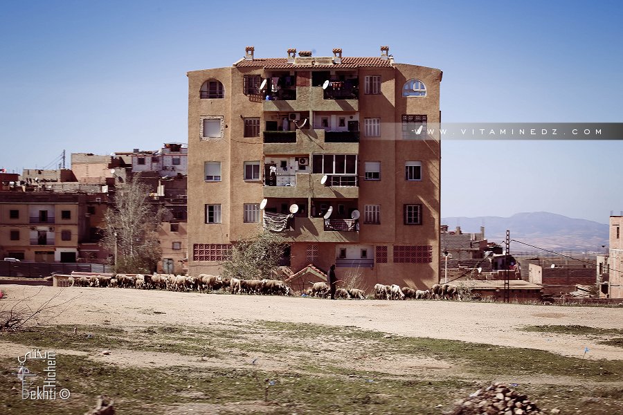 Scène quotidienne au village de Koudia (Tlemcen)