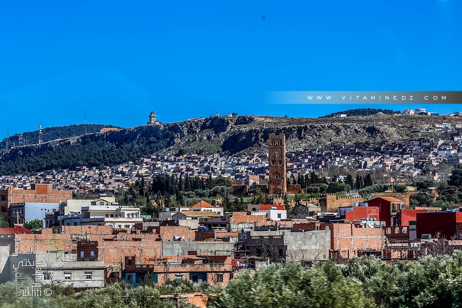 Mansourah, envahie par l'invasion galopante du Béton
