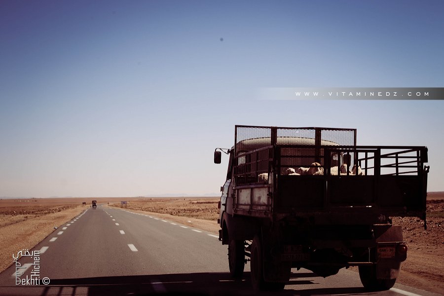 Les fameuses Giaka sillonnent toujours les routes de la wilaya de Naama