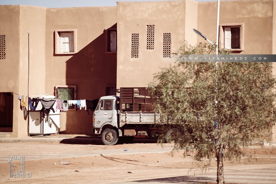 Les bergers devenus sédentaires ... une source de menace pour l'élevage
