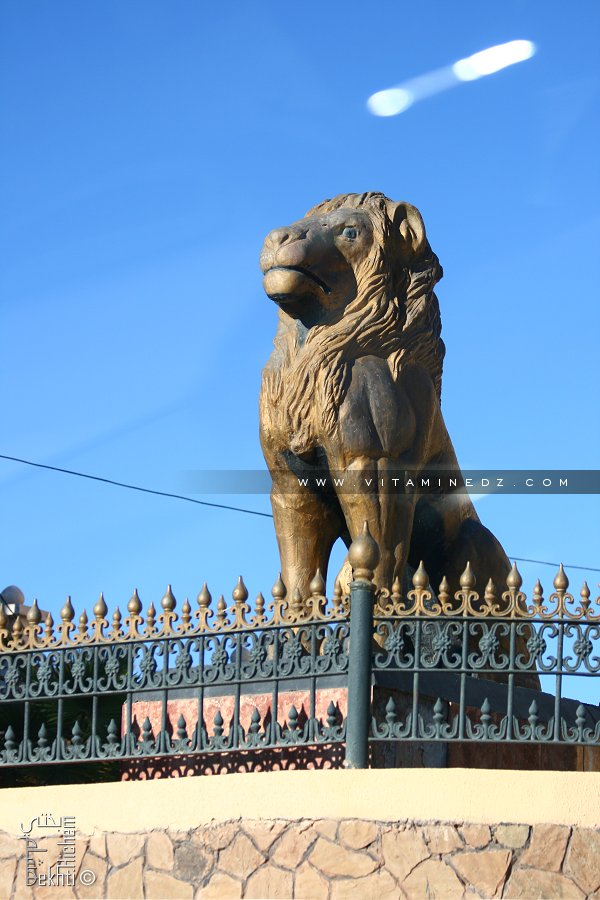 Et encore une stèle de Lion à Béchar