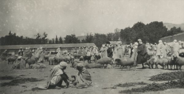 Marché aux moutons