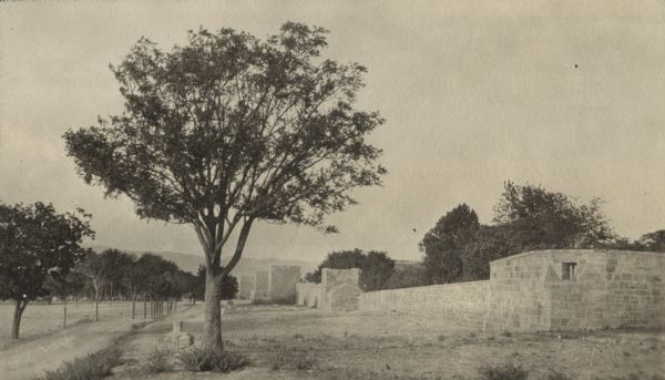 Hors les murs de Tebessa