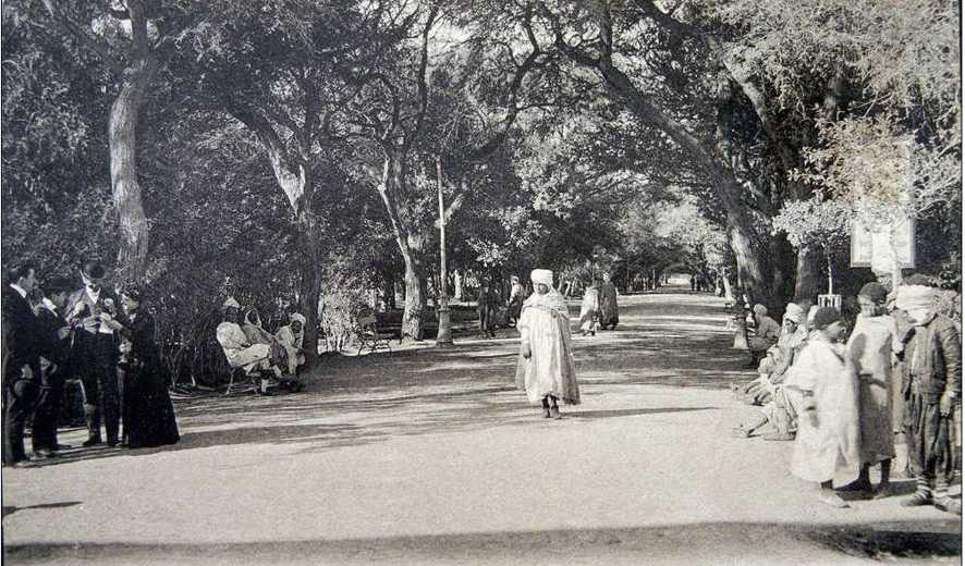 biskra-allee-du-jardin-public