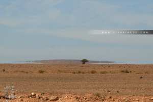 La hamada du Guir : un plateau désertique d’une infinie monotonie
